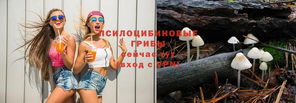 сатива Алзамай